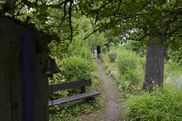 Un banc de bois au bord d'un sentier du jardin, sous les arbres